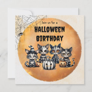 Cute Black and White Striped Halloween Kitten Invitation