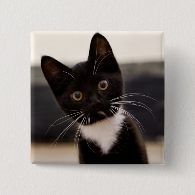 Cute Black And White Tuxedo Kitten 2 Inch Square Button (Front)