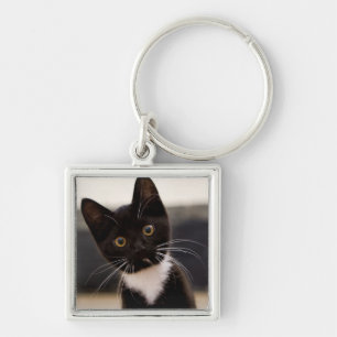 Cute Black And White Tuxedo Kitten Keychain