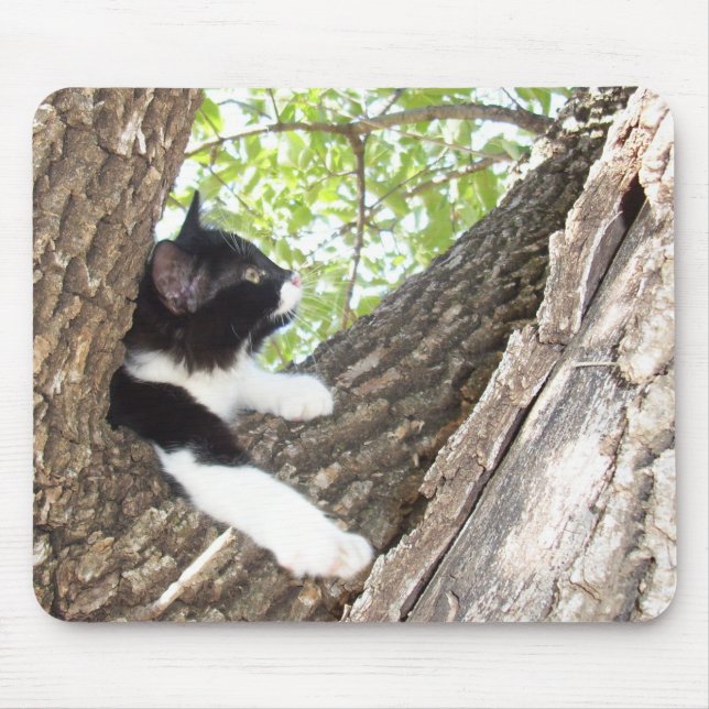 Cute Black and White Tuxedo Kitten Mouse Pad (Front)