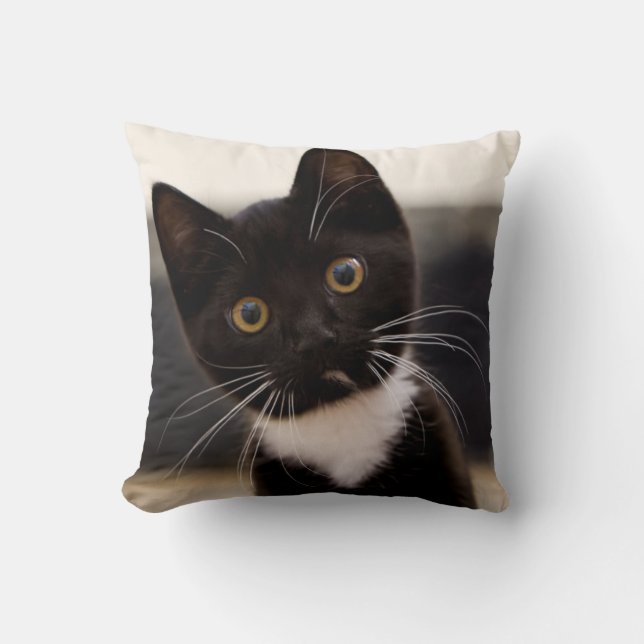 Cute Black And White Tuxedo Kitten Throw Pillow (Front)