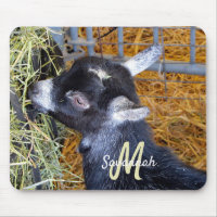 Cute Black Baby Goat Eating Hay Photo Monogram