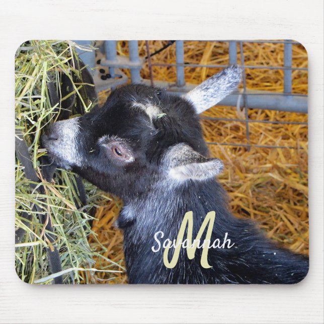Cute Black Baby Goat Eating Hay Photo Monogram Mouse Pad (Front)