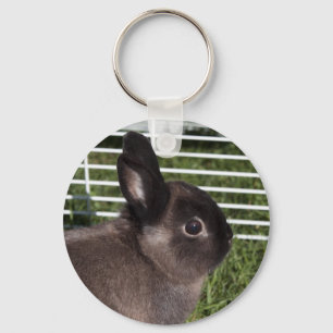 Cute black bunny on green grasses keychain