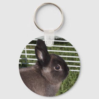 Cute black bunny on green grasses keychain