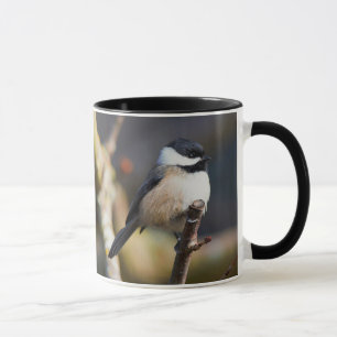 Cute Black-Capped Chickadee Waits for Spring Mug