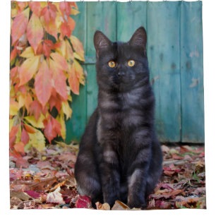 Cute Black Cat Kitten Red Leaves Blue Door / Tub