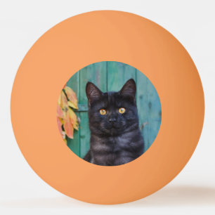 Cute Black Cat Kitten with Red Leaves Blue Door ** Ping Pong Ball