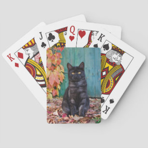 Cute Black Cat Kitten with Red Leaves Blue Door -- Playing Cards