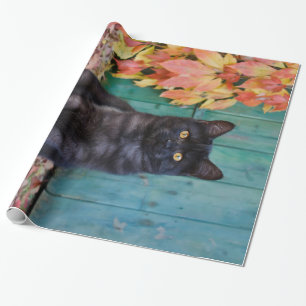 Cute Black Cat Kitten with Red Leaves Blue Door "" Wrapping Paper