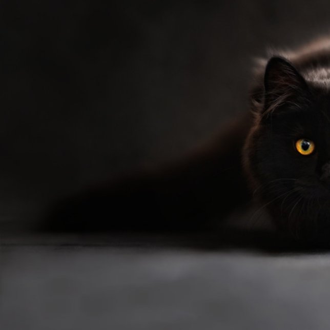 cute black cat lumbar pillow (Creator Uploaded)