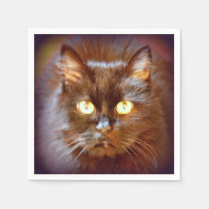 cute black cat napkin