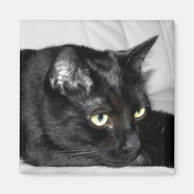 Cute Black Cat Portrait Magnet (Front)