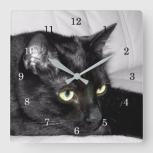 Cute Black Cat Portrait Square Wall Clock