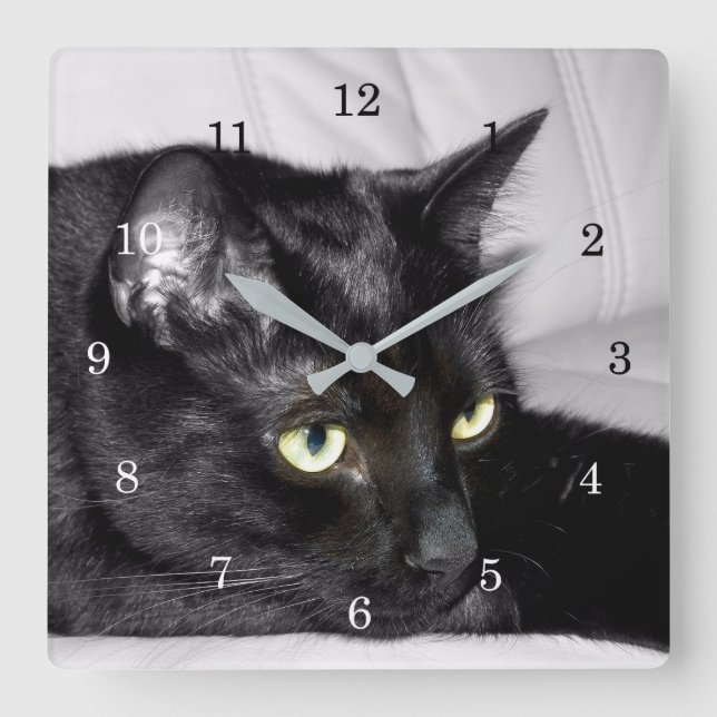 Cute Black Cat Portrait Square Wall Clock (Front)