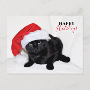 Cute Black Cat with Santa Hat Holiday Postcard