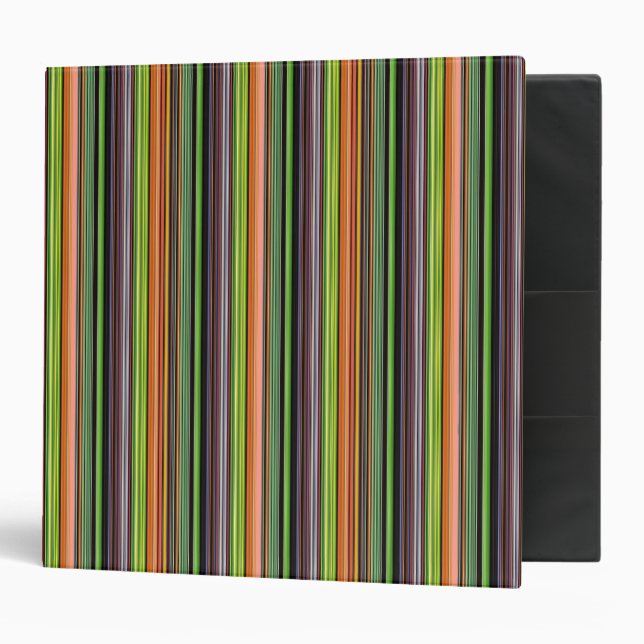 Cute black colourful stripes binder (Front/Inside)