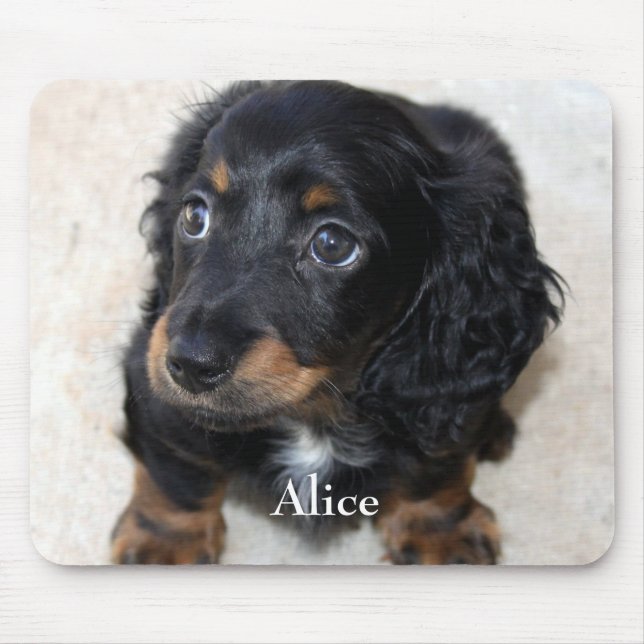 Cute black Dachshund Puppy Dog Pet Mouse Pad (Front)