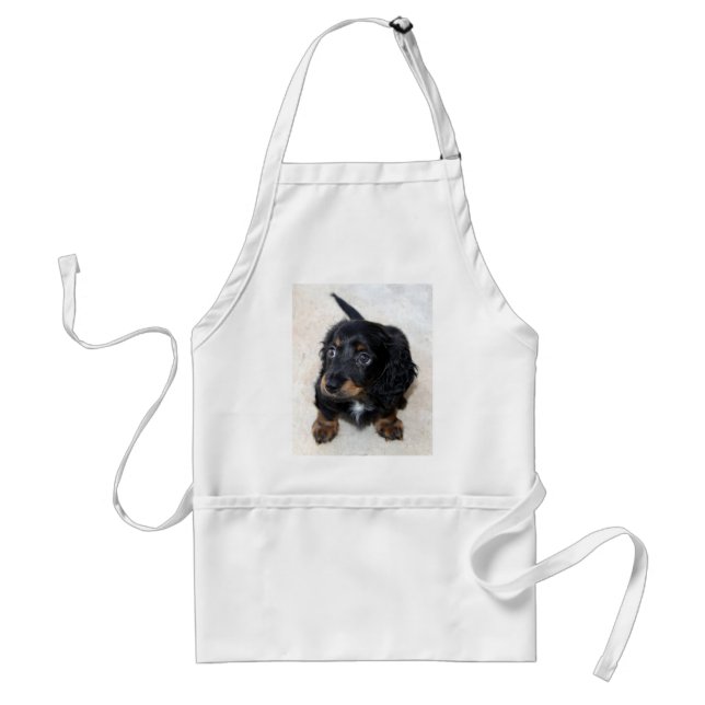 Cute black Dachshund Puppy Dog  Standard Apron (Front)