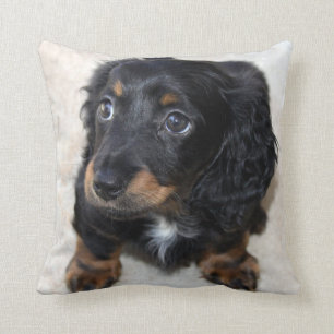 Cute black Dachshund Puppy Dog Throw Pillow