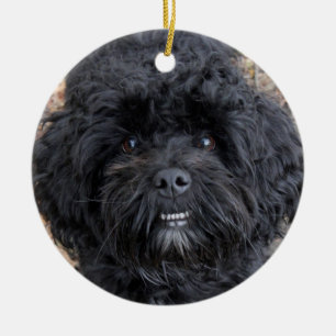 Cute black dog, ceramic ornament