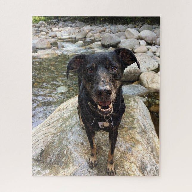 Cute Black Dog Lab Shepherd Dog Nature From Photo Jigsaw Puzzle (Vertical)
