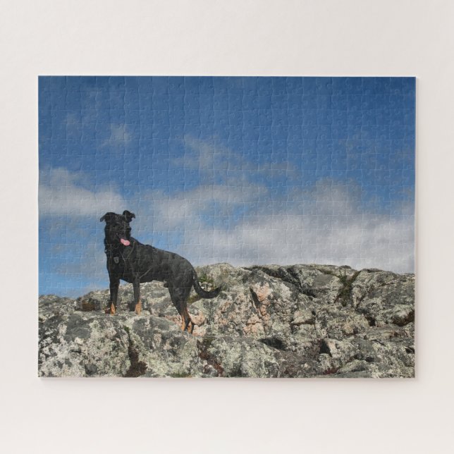 Cute Black Dog Mutt Lab Shephered Picture Photo Jigsaw Puzzle (Horizontal)