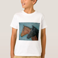 cute black foal chestnut brown foal colt horses