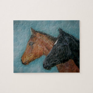 cute black foal chestnut foal colt horses portrait jigsaw puzzle