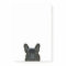 Cute Black French Bulldog Frenchie Photograph: