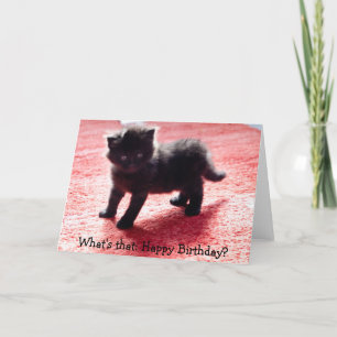 Cute black kitten - funny birthday card