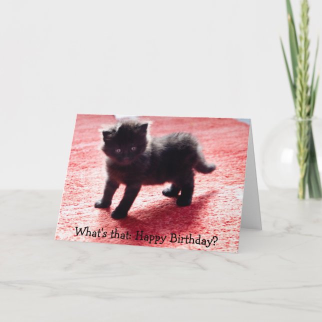 Cute black kitten - funny birthday card (Front)