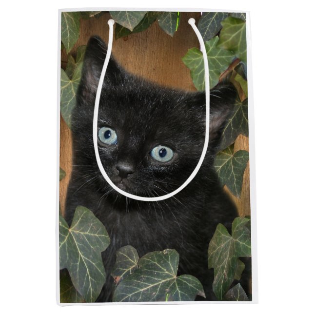 Cute black kitten medium gift bag (Front)