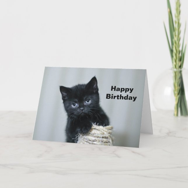 Cute Black Kitten Twine Photo Birthday Card (Front)