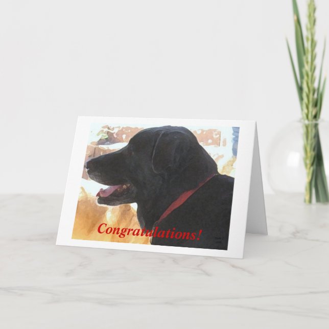 Cute Black Lab Dog Congratulations DVM Graduation Card (Front)