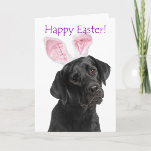 Cute Black Lab Easter Card