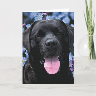 Cute Black Lab Labrador Retriever Dog Card