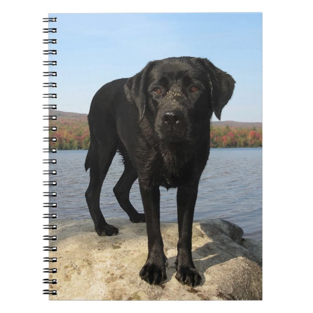 Cute Black Lab Labrador Retriever Dog Notebook (Front)