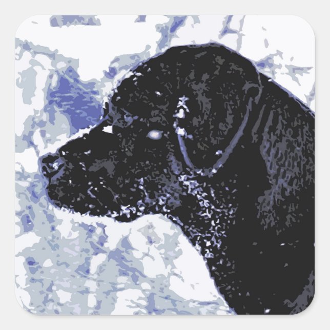 Cute Black Lab Labrador Retriever Dog Square Sticker (Front)