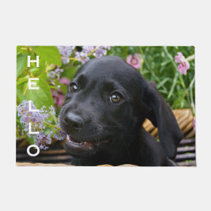 Cute Black Labrador Retriever Dog Puppy Pet  Hello Doormat
