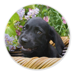 Cute Black Labrador Retriever Dog Puppy Pet Photo Ceramic Knob