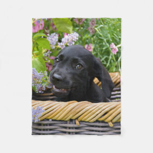 Cute Black Labrador Retriever Dog Puppy Pet Photo Fleece Blanket