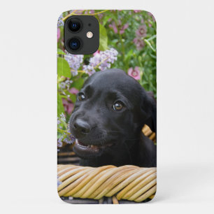 Cute Black Labrador Retriever Dog Puppy Photo * iPhone 11 Case