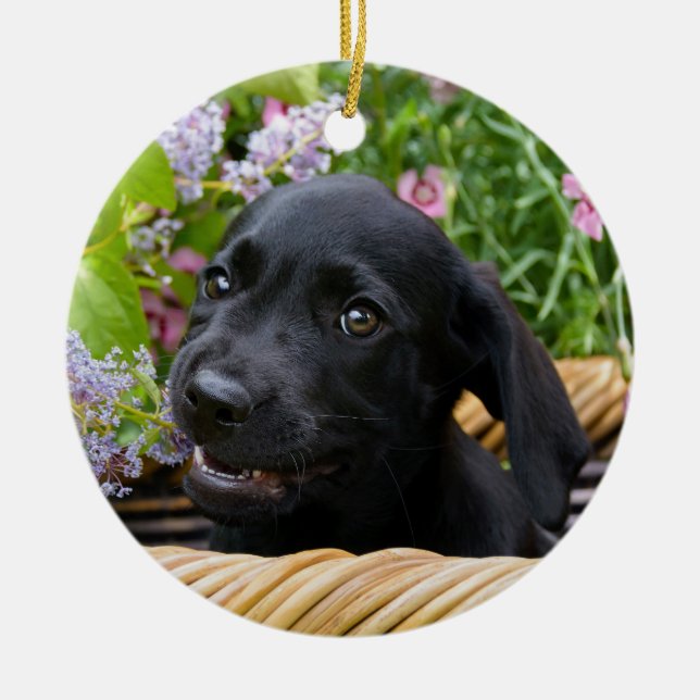 Cute Black Labrador Retriever Dog Puppy Photo .. Ceramic Ornament (Front)