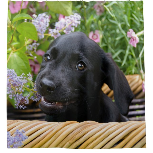 Cute Black Labrador Retriever Dog Puppy Photo  Tub (Front)
