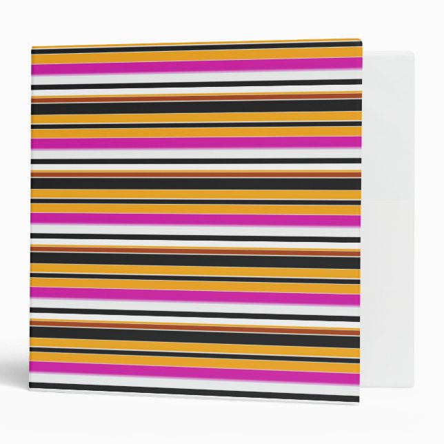 Cute black orange stripes binder (Front/Inside)