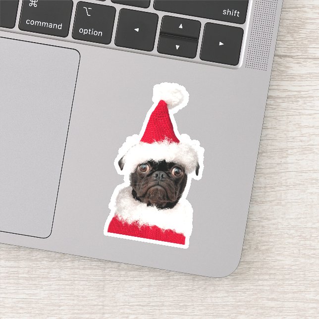 Cute Black Pug in Santa Hat (Detail)