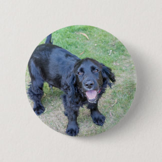 Cute Black Puppy 2 Inch Round Button