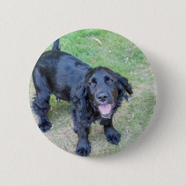 Cute Black Puppy 2 Inch Round Button (Front)