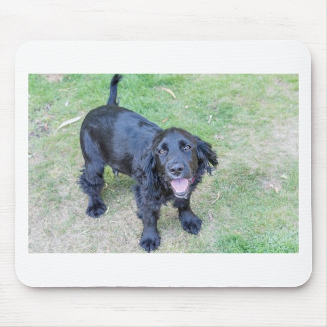 Cute Black Puppy Mouse Pad (Front)